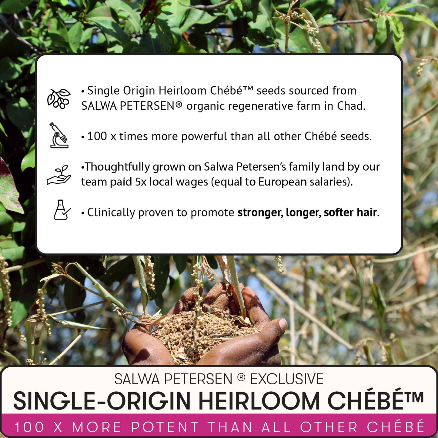 Chébé Hair Oil | Fortifying Growth Support